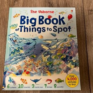 Usborne ‘Big Book of Things to Spot’ - Paperback Interactive Search & Find Book